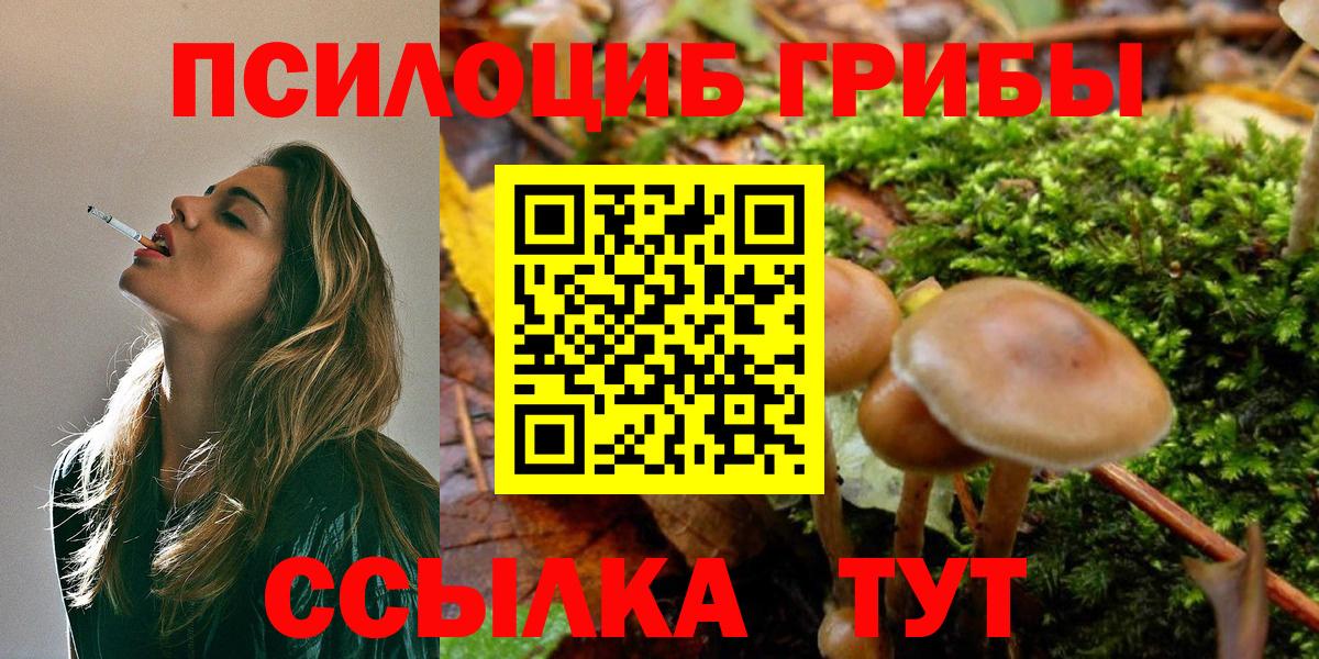Лесозаводск  Псилоцибиновые грибы Psilocybe  Вход с VPN  Галлюциногенные грибы мицелий 